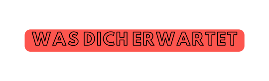 was dich erwartet